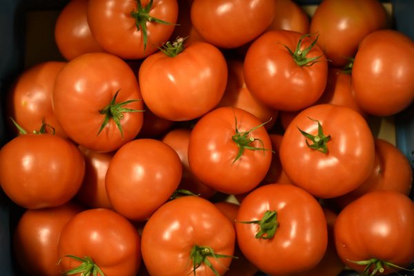 Losse tomaten - Groenten en Fruit Balé